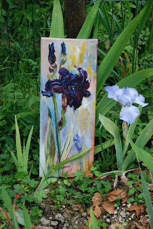 Dark Purple Lady