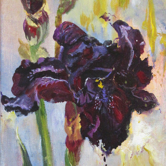 Dark Purple Lady