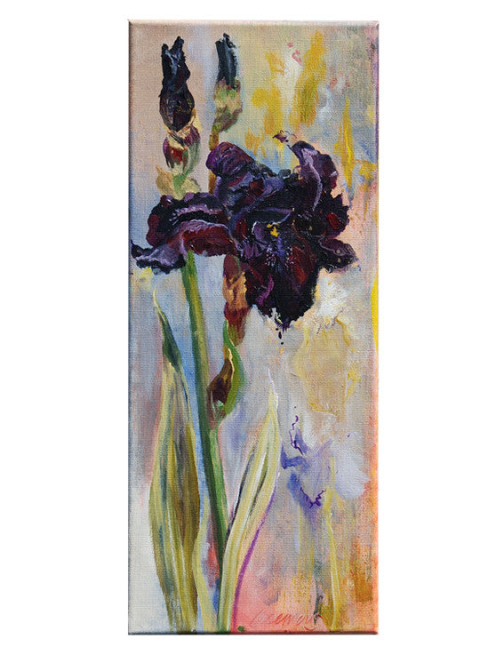 Dark Purple Lady